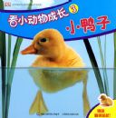 ��С����ɳ�3��СѼ��