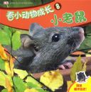 ��С����ɳ�8��С����