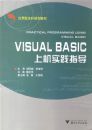 VISUAL BASIC�ϻ�ʵ��ָ��