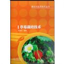 ��ݮ���༼��