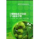 �������溦ʶ��������ֲ�