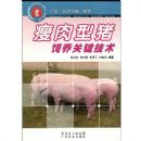 �������������ؼ�����