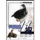 �����11��