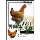 ���⼦10��