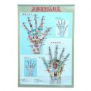 �ֲ���������ͼ(��˵����)