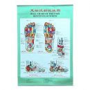 �㲿��������ͼ(��˵����)