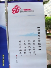 ��Т��С���ۺ�