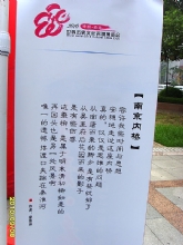 �Ͼ�����