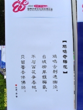 ������÷��