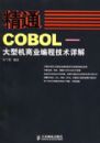��ͨCOBOL�������ͻ���ҵ��̼������