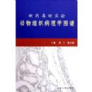 ��ҩ����ʵ�鶯����֯����ѧͼ��(��)