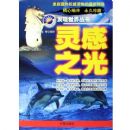 ���֮��----�����������