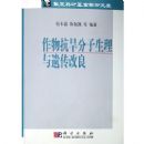 ���￹�������������Ŵ�����